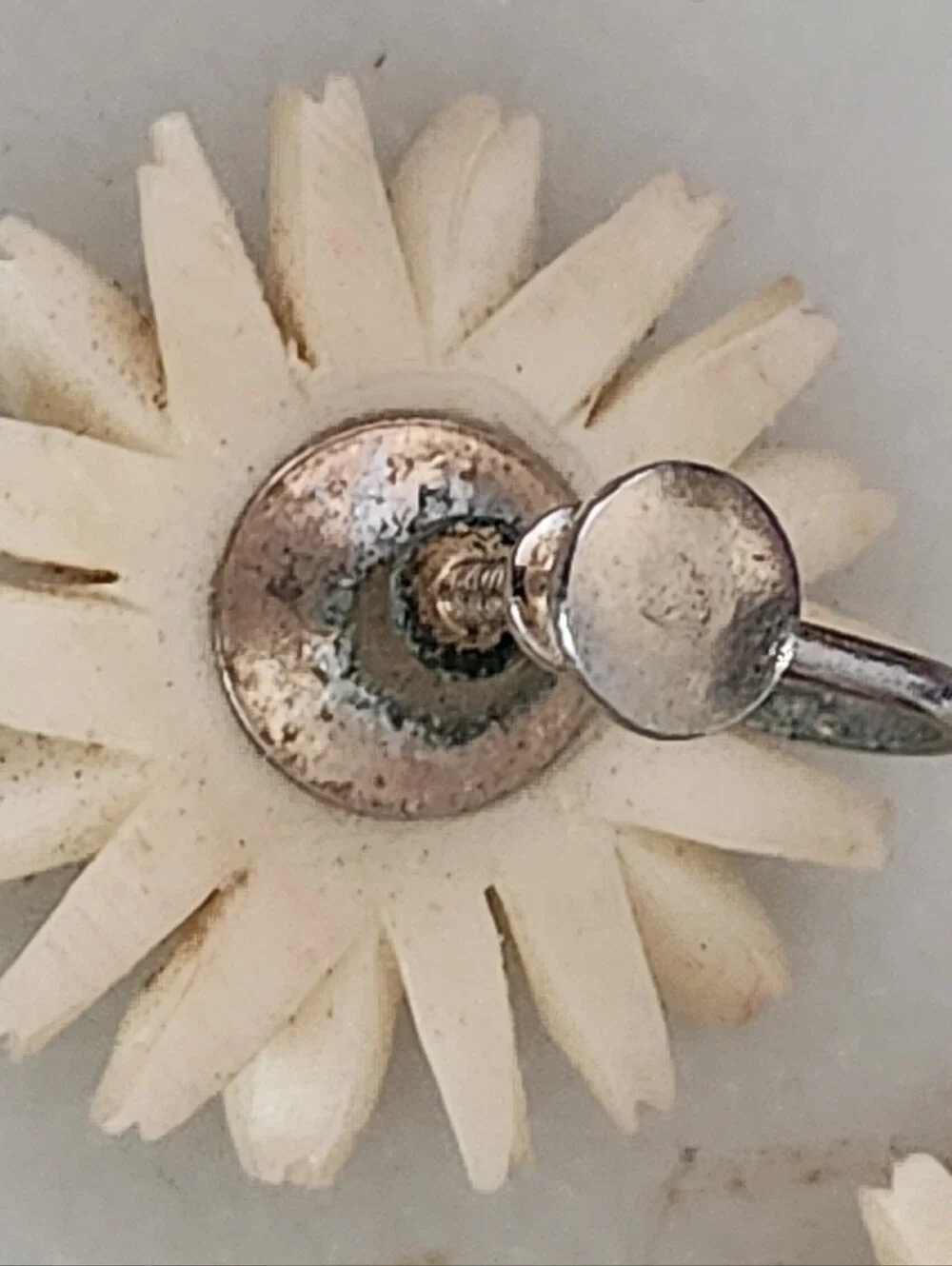 White and Yellow Daisy Screw Back Earrings - Vintage